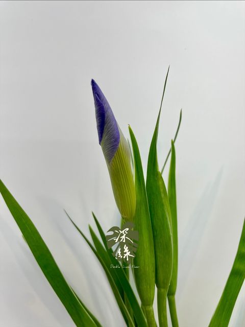 image_17249063-A7BC-4CEA-94AF-1D013D235947_1774749905