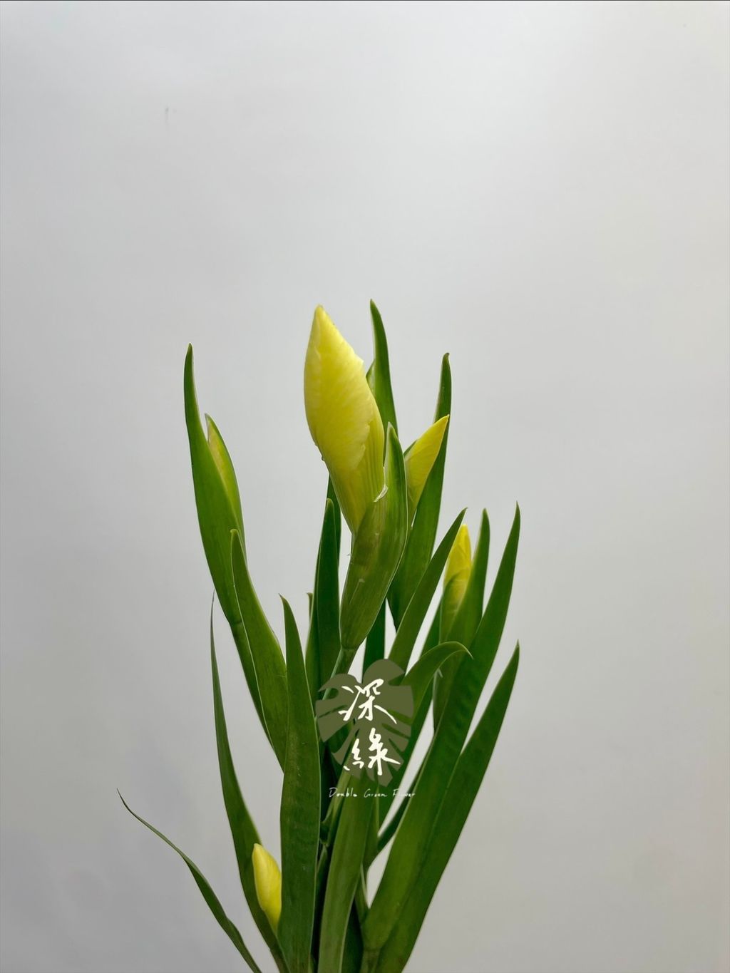 image_F2EC5470-5F51-46FE-A704-8119A65A46D7_1774749925