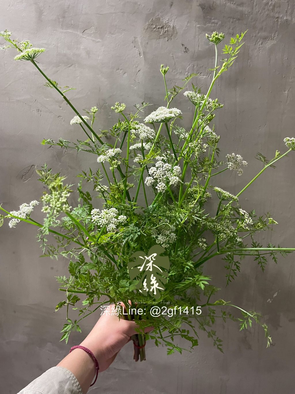 image_31D723B8-EA90-4D51-8E00-40F59047B864_1774773762