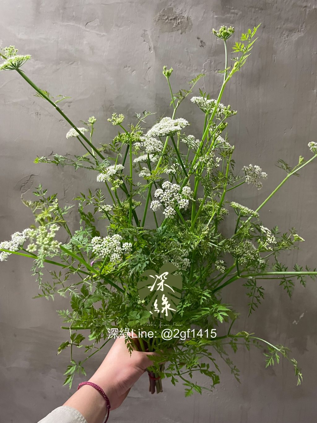 image_39C03317-DDBA-467D-A3EE-CC7E77081190_1774773762