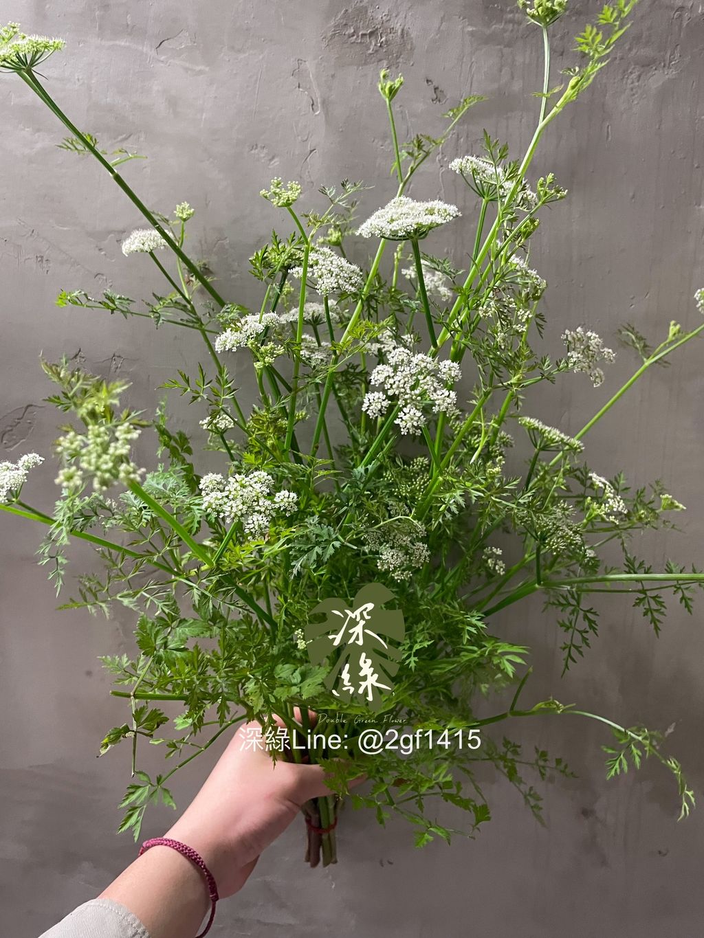 image_94A9ED16-1C69-4884-A094-7834691CA0F5_1774773762