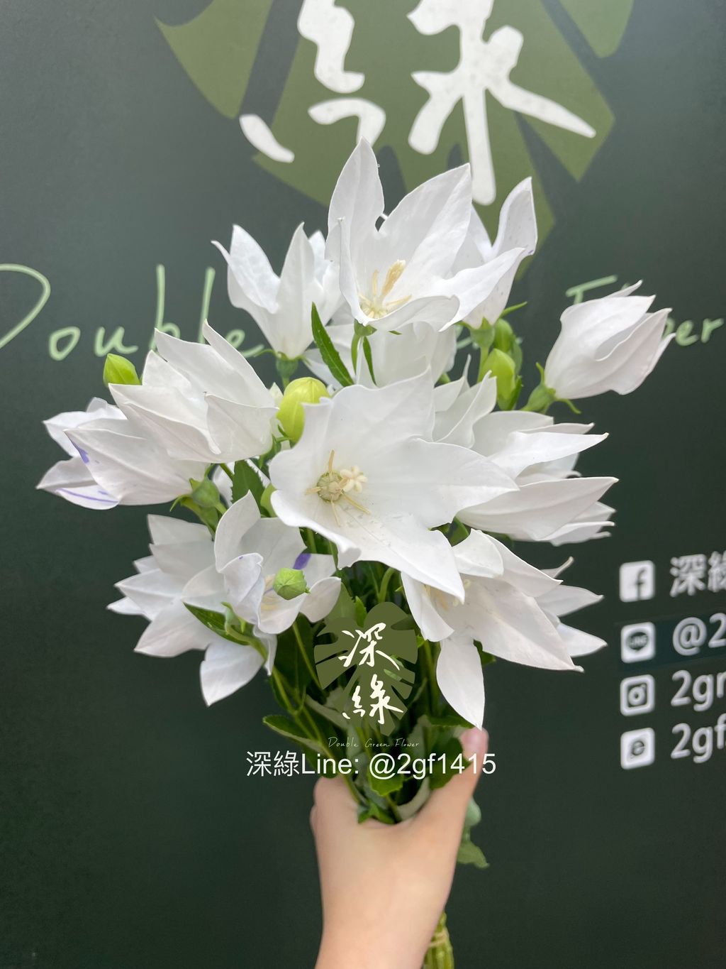 image_E4F6411C-58C2-4800-A10C-A98B24DE7429_1774836633