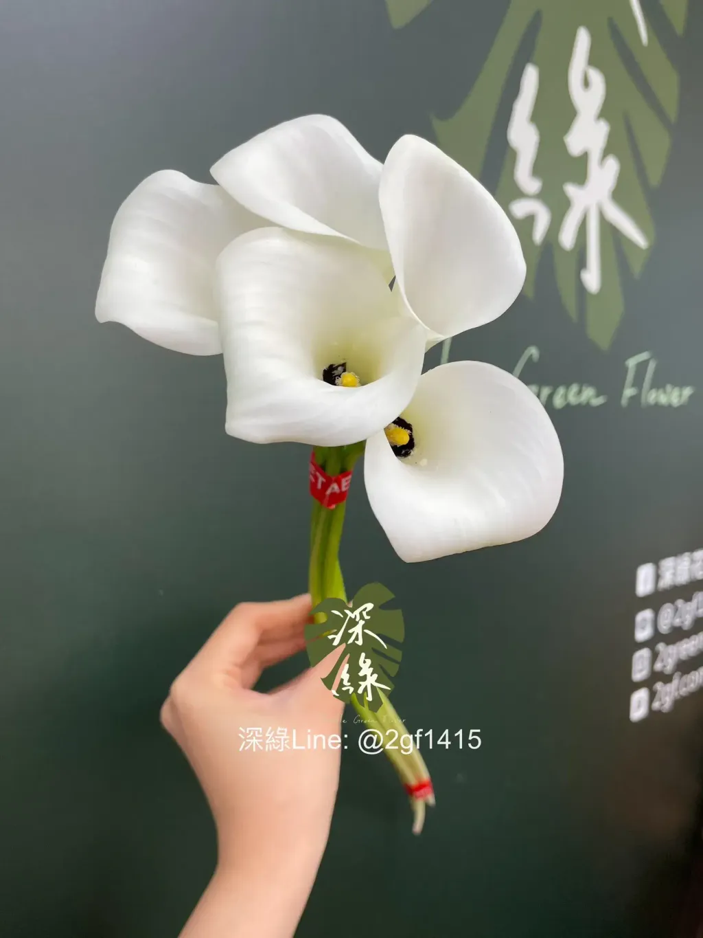 image_AD75D90D-4E78-45BA-9298-D7D7BAF0A493_1774497300