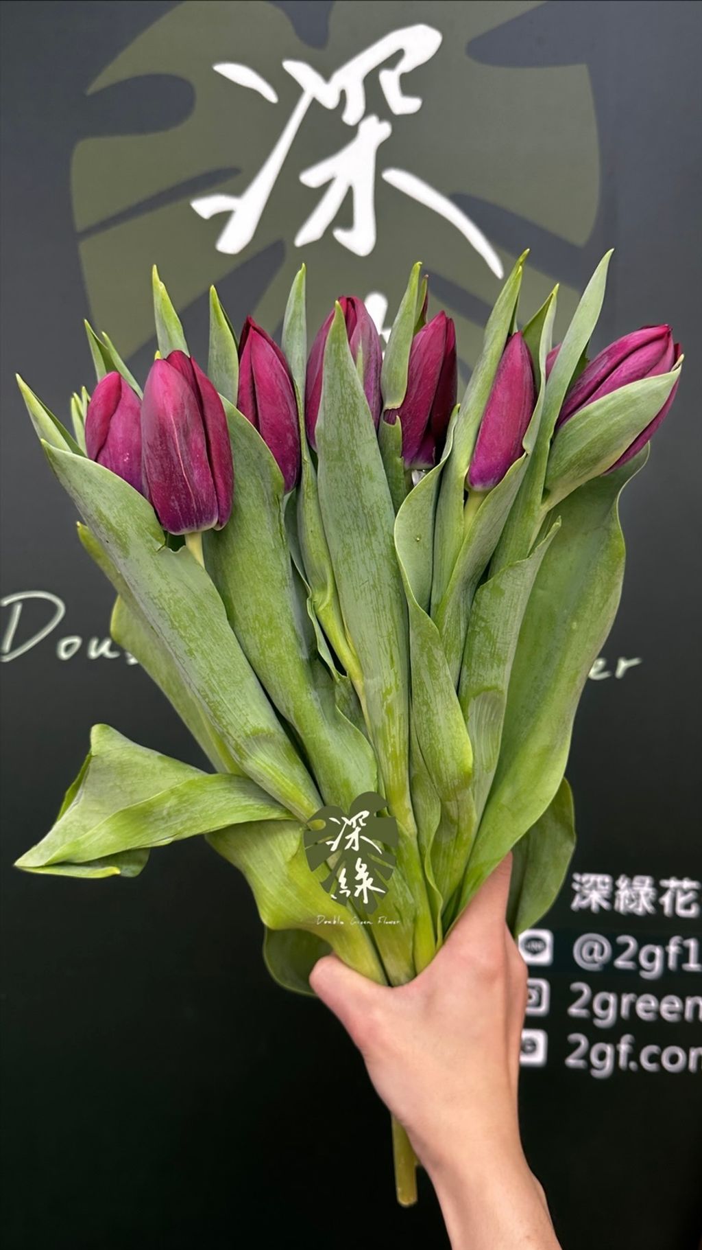 image_6EAD0E38-1DE3-486F-8605-43101A20F04A_1774853651