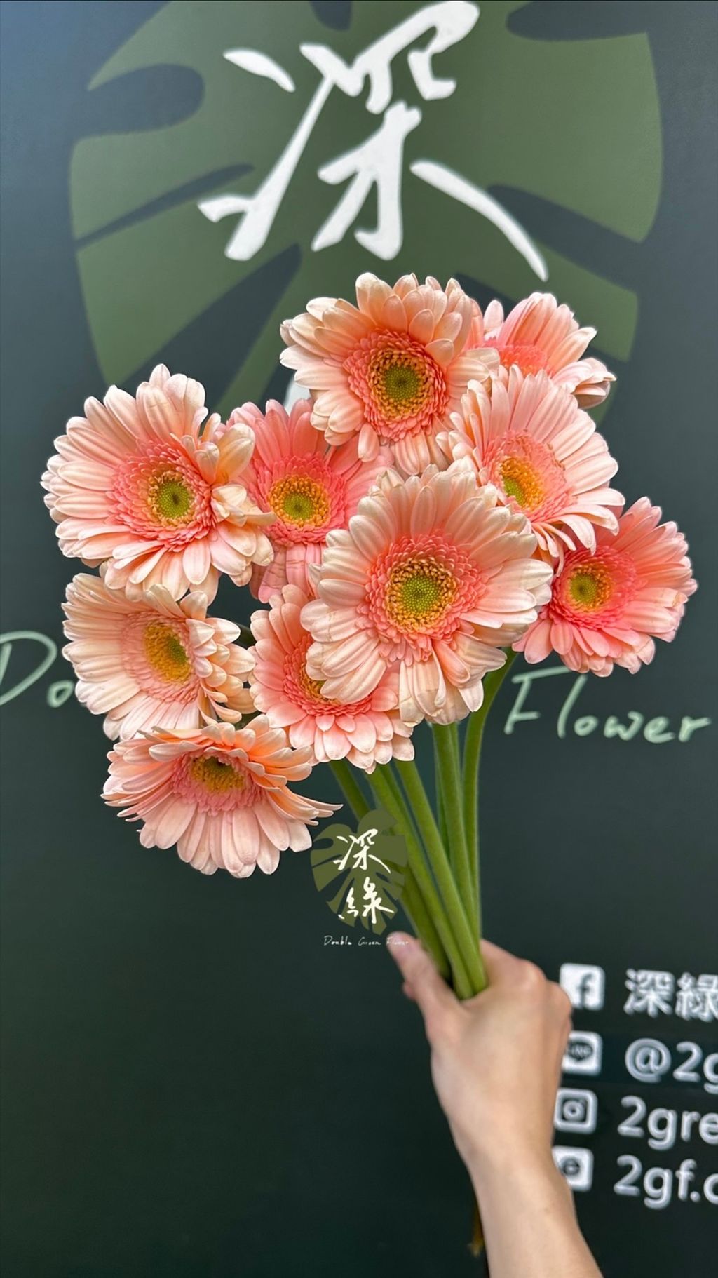 image_B8005BC0-F507-4631-B679-02191CA968CF_1774853672