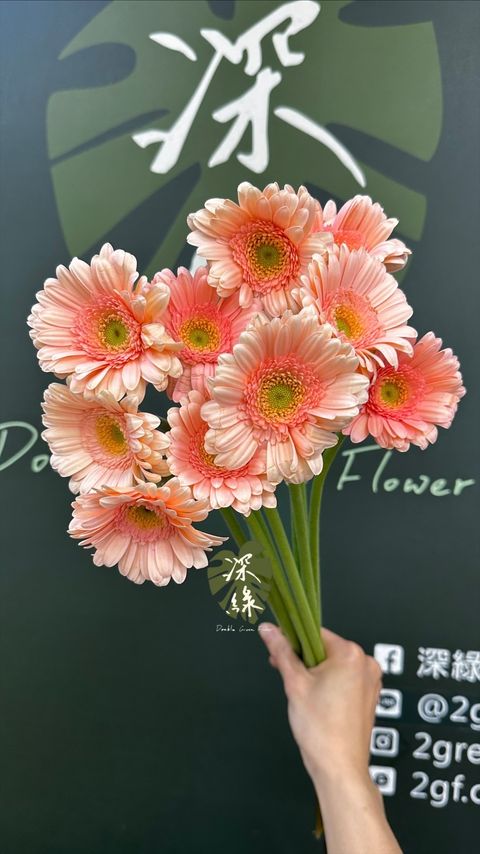 image_B8005BC0-F507-4631-B679-02191CA968CF_1774853672