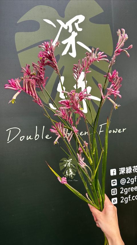 image_93E07366-B28E-427B-AEAC-D9CBB5459FA3_1774853719