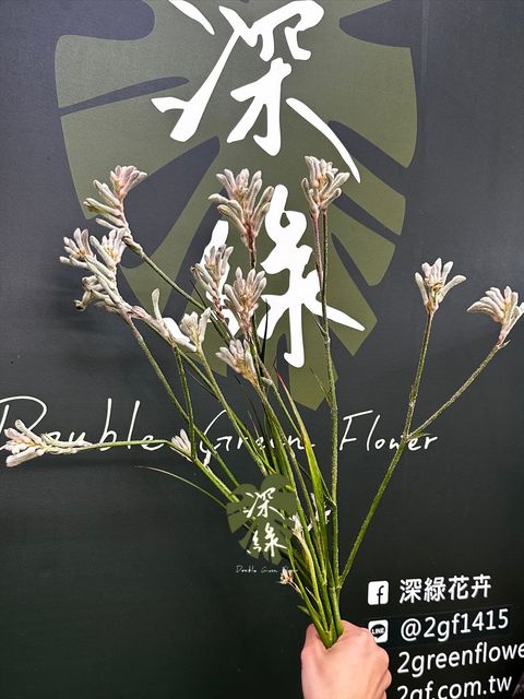 image_2DA19EBA-C4C9-4CEA-B05D-A05297172789_1774853747