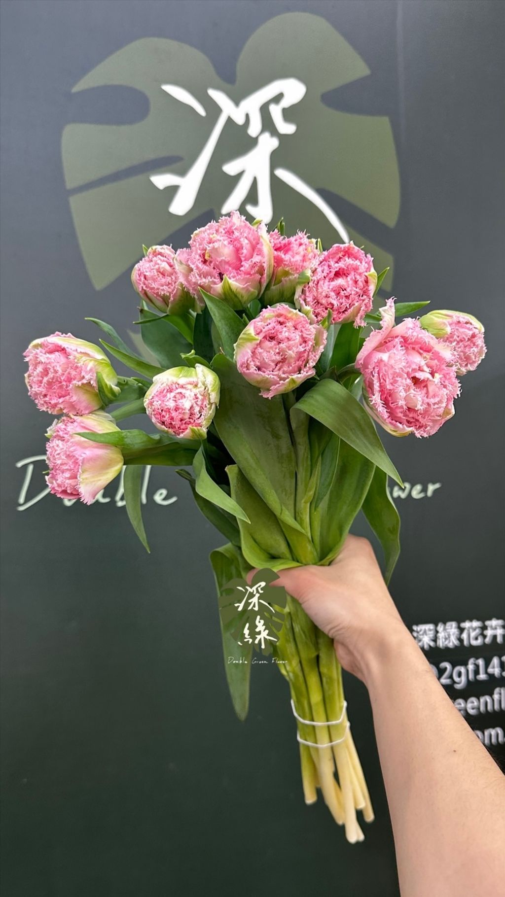 image_9BF53F28-2541-42B5-82BF-3C5EB7035270_1774853776