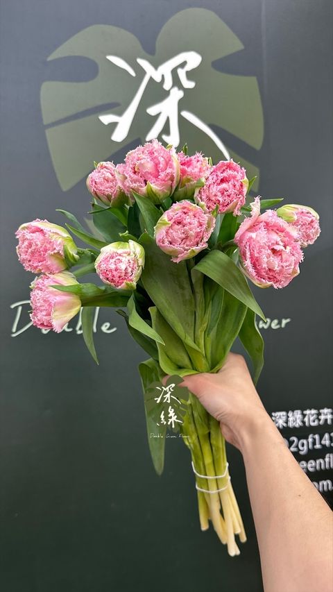 image_9BF53F28-2541-42B5-82BF-3C5EB7035270_1774853776