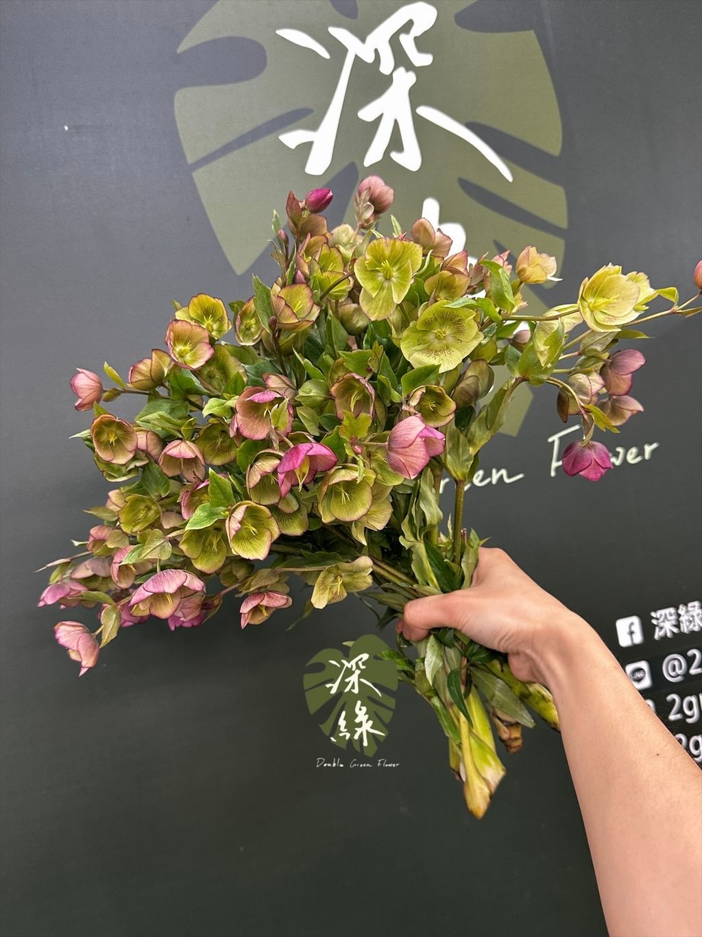 image_C6F1831A-E21F-4892-B0E8-41B9493C4E95_1774853823