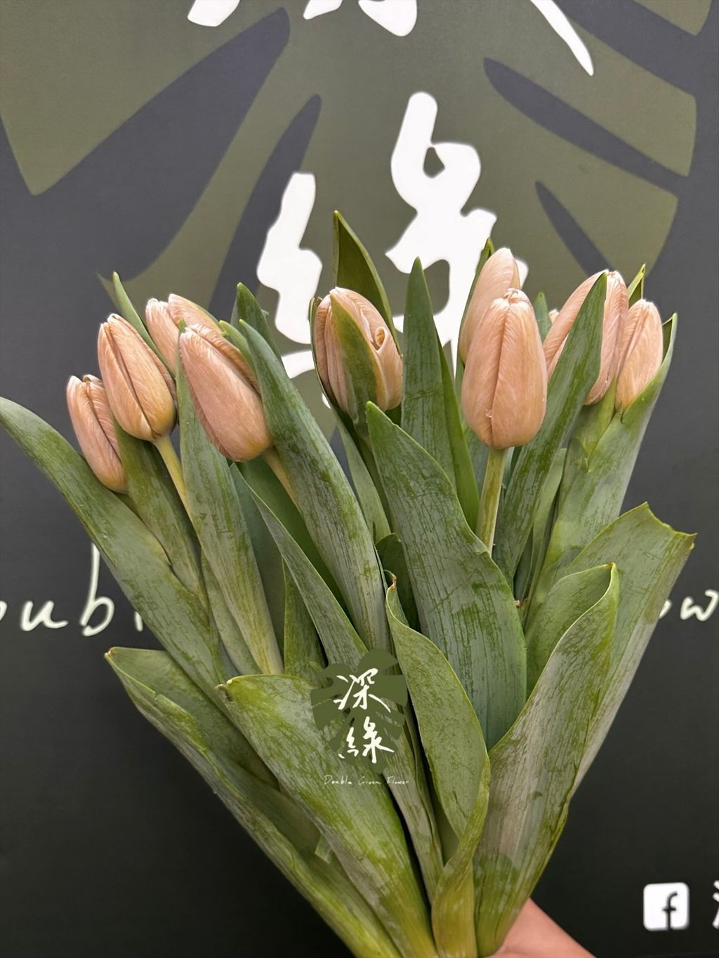 image_032E4A97-3F80-4A19-B436-1BE59A7468CE_1774853863