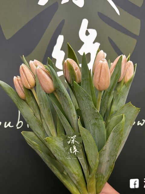 image_032E4A97-3F80-4A19-B436-1BE59A7468CE_1774853863