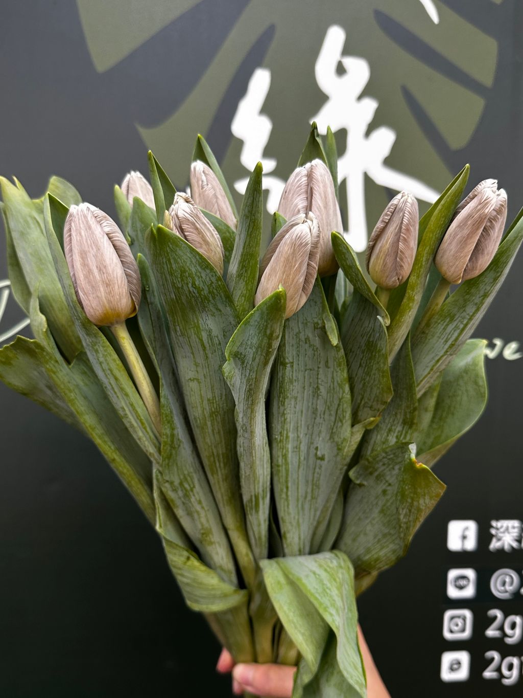 image_73BCD27F-1055-44A7-A036-C4C6941B97C2_1774853916