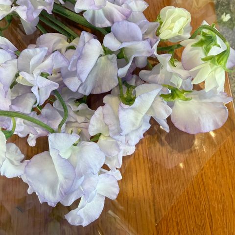 image_B9BDB59B-4994-4C45-BB08-51F7BC162BE5_1774857582