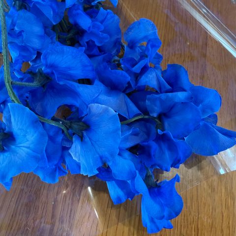 image_BF74584F-A289-476D-867A-7346FBEFEF65_1774857660