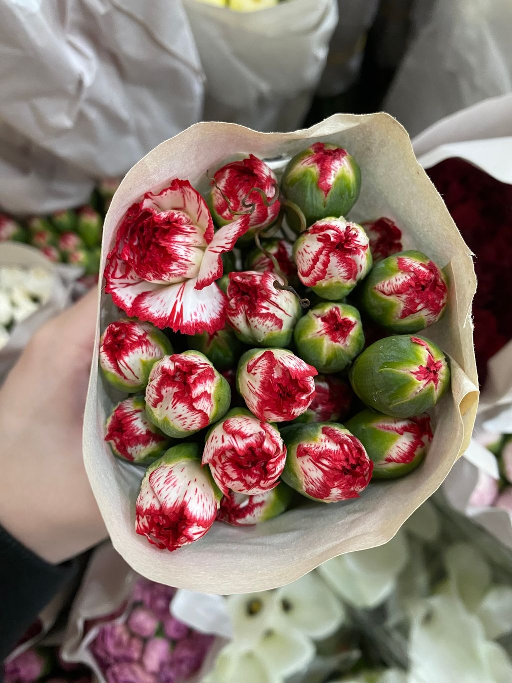 image_370CA3C6-70DC-456A-9F8D-6C73D73E9A7F_1774859195