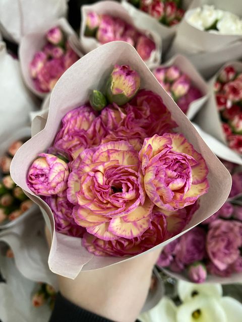 image_A3284E43-8E0D-451C-A51D-977C6DFF64AB_1774860244