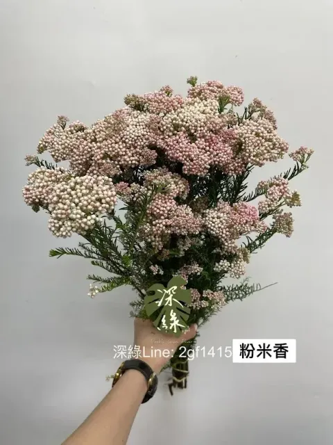 AIL4fc_l06ewg-ZOM18QJwOYx9uXDIgoZe_32VoLGmtBPLbIGQKejpZ1xgmxcvR3QXDk-CcnhiQVqTvskAkY-N-7kkMRNdS-UEWVS842B0QPJ8Sd0wJJOdZ46E1pLwTabPBz8baupQCSqFLzX1Wb6XP3NmnL=w634-h845-s-no