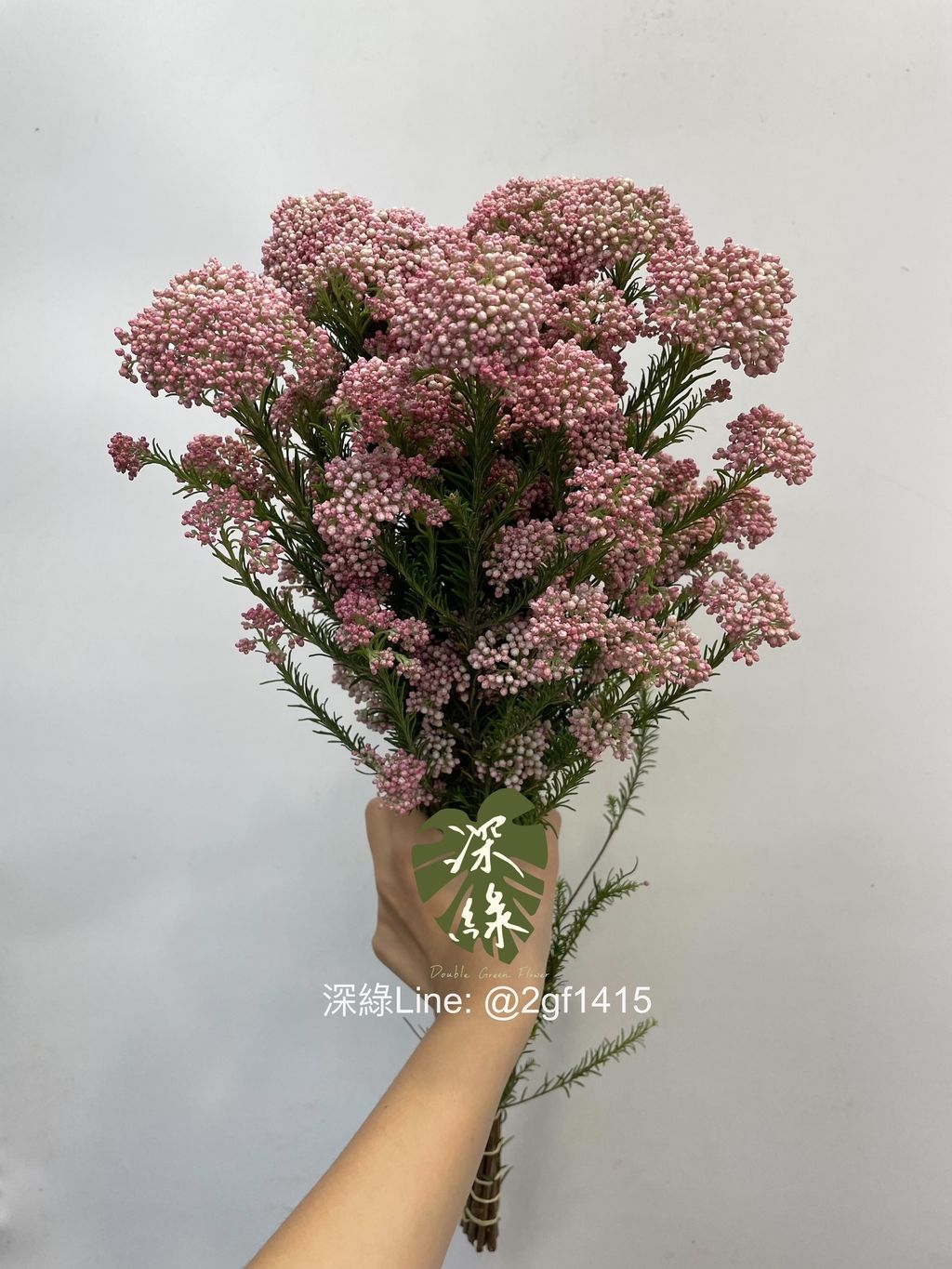 eZy Watermark_02-10-2024_08-30-35-7980上午-1727829139866