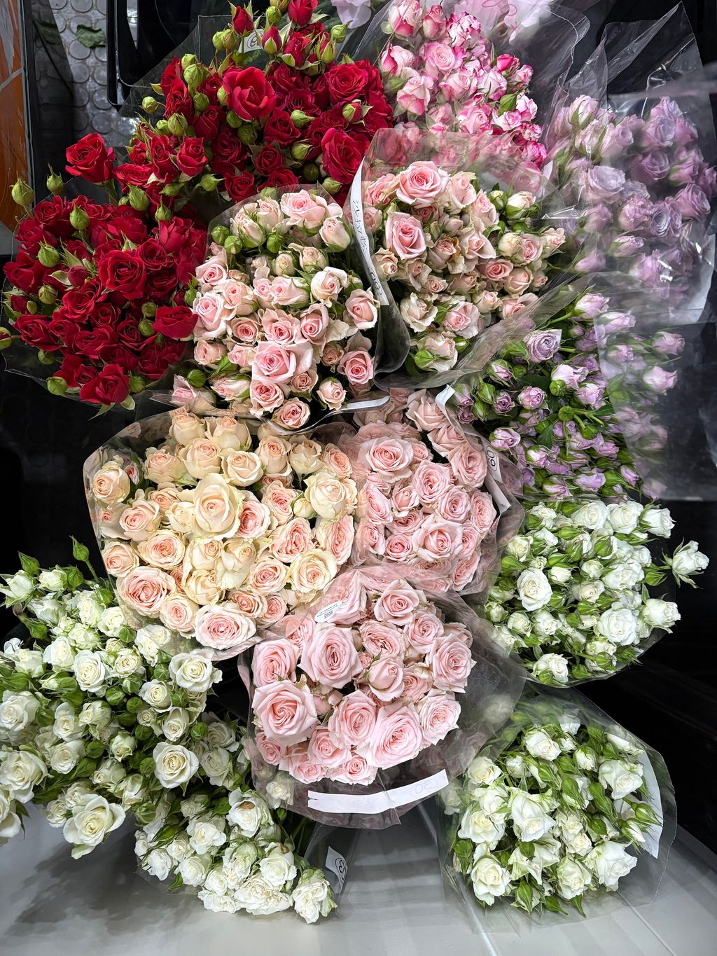 image_F8D787B1-0BDE-44A6-900F-8A90D4B04D19_1774924631