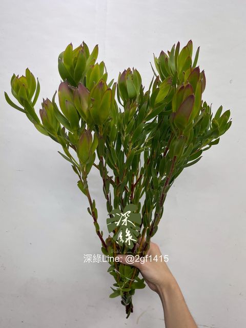 image_E0D4D32C-52DC-4DE9-92F4-5DB731A759FD_1756633827