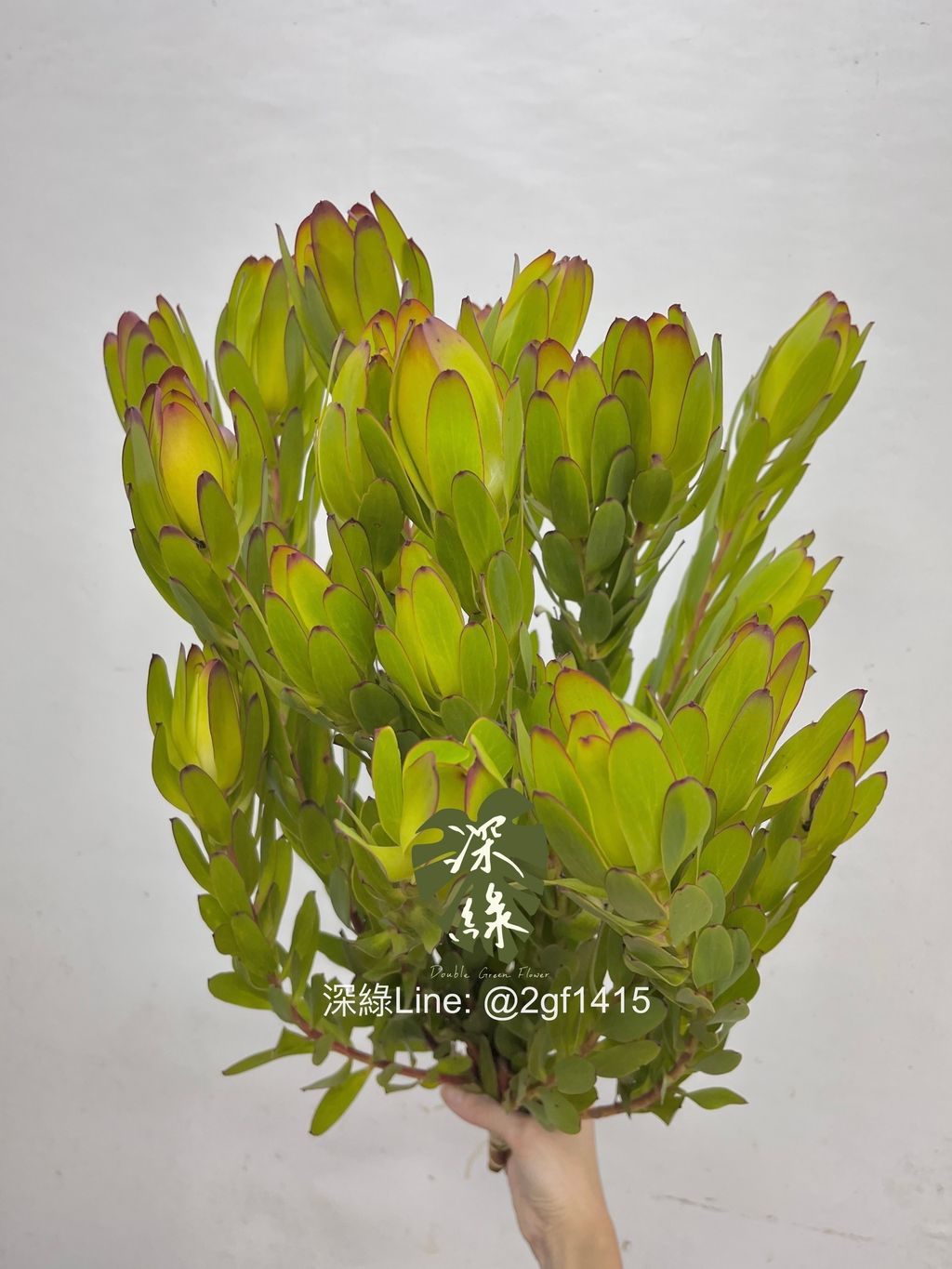 image_572BC900-2167-451E-8DBE-31D1AE0DC286_1754621675