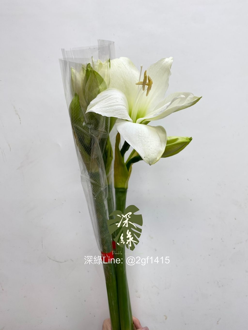 IMG_1659-1724645223068