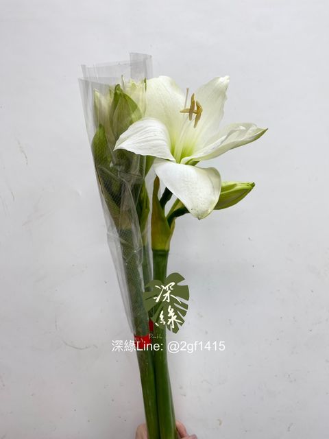 IMG_1659-1724645223068