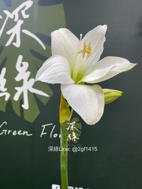 IMG_1658-1724645223081