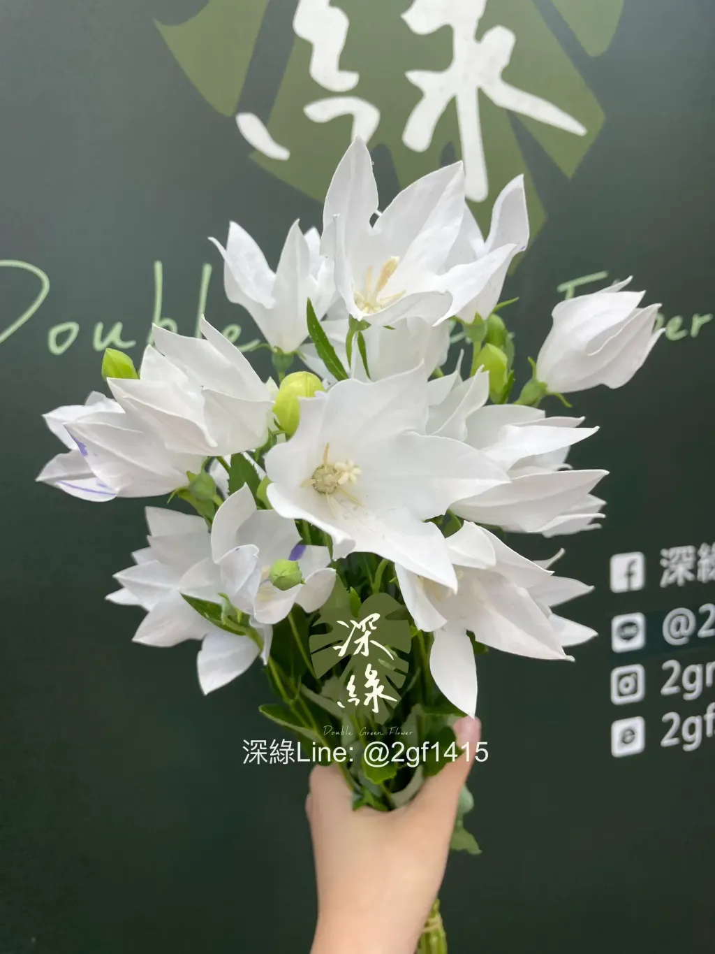 image_E4F6411C-58C2-4800-A10C-A98B24DE7429_1774836633