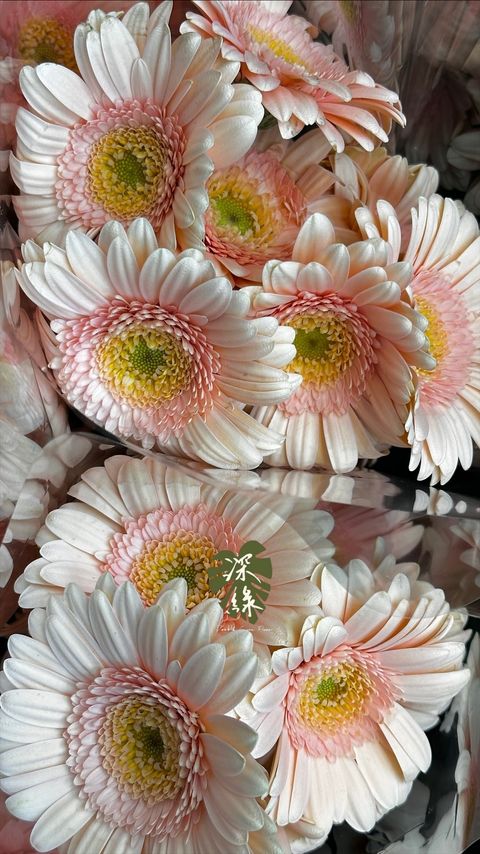 image_3AAC37B1-7670-4059-9A5F-8AC546D4889B_1774929942