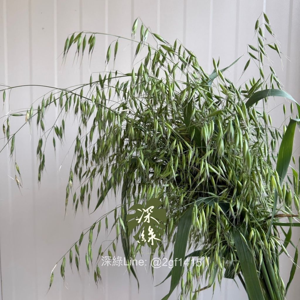 image_95387F99-8D6C-4A87-8613-79D81FCA73E9_1774934173