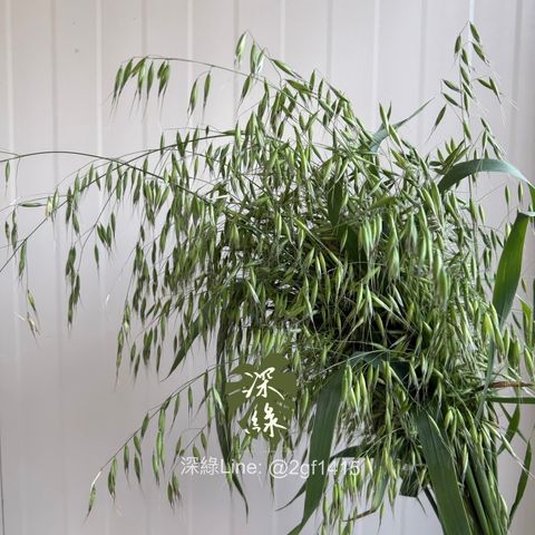 image_95387F99-8D6C-4A87-8613-79D81FCA73E9_1774934173