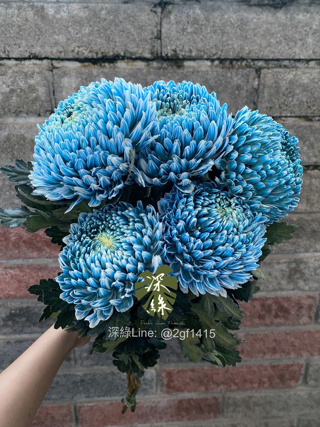 image_30393118-F880-48C4-B83C-C980C40F0F78_1774948093