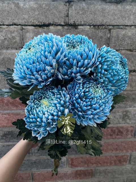 image_30393118-F880-48C4-B83C-C980C40F0F78_1774948093