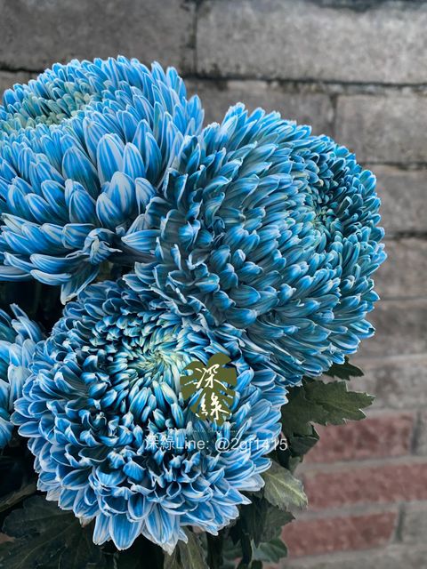 image_AF200C65-D78E-4558-83B2-CA087805ADDD_1774948094