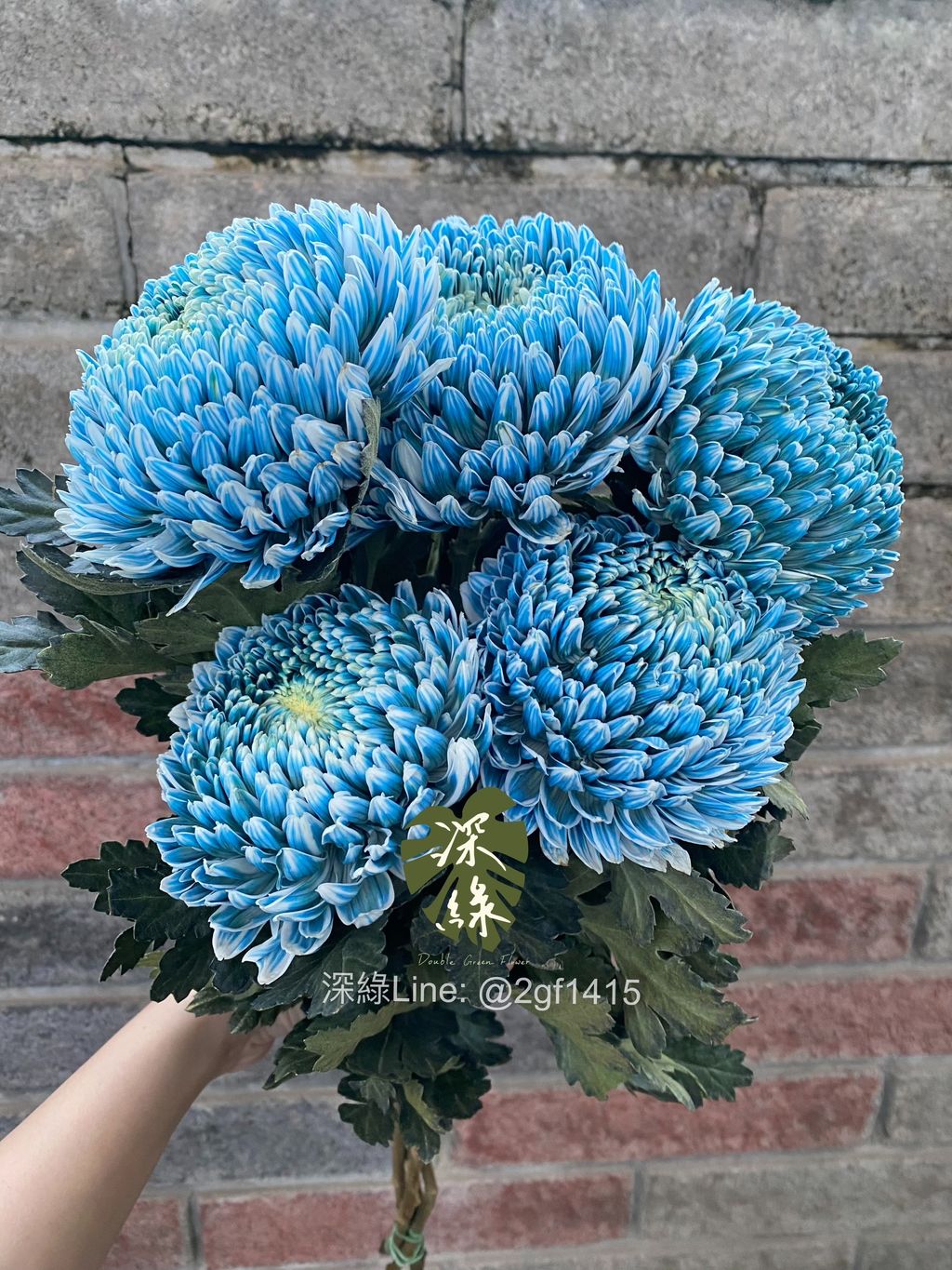 image_75E915B5-07BA-4574-B23A-04D7DEF6779B_1774948094