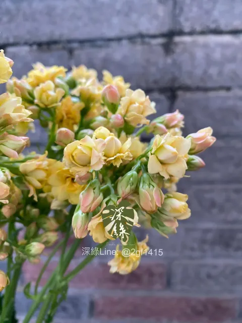 image_1966EEED-0BFA-45A5-8B77-B8F4751547C1_1774940630