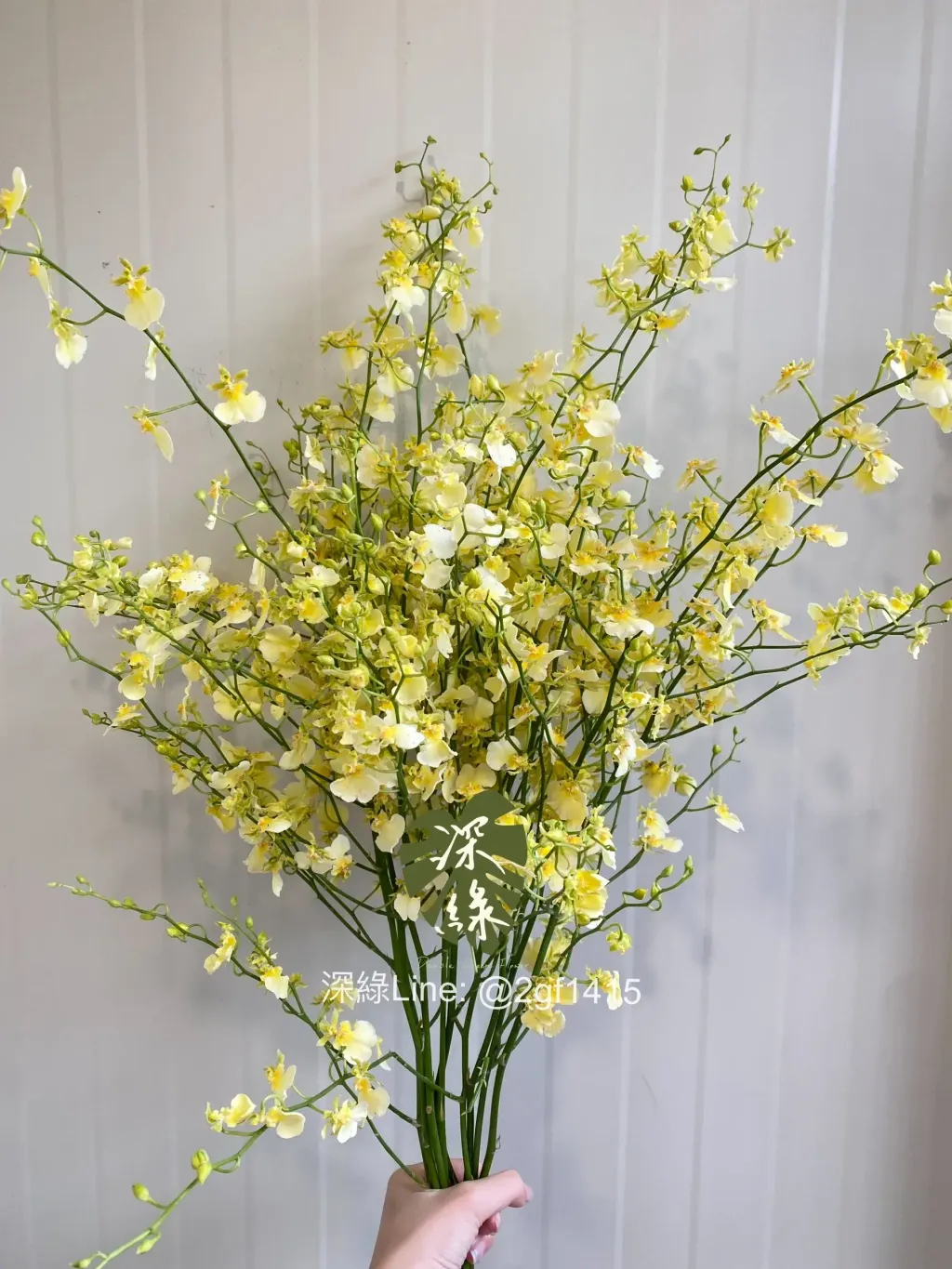 eZy Watermark_24-10-2024_09-15-48-1980下午-1729775851397