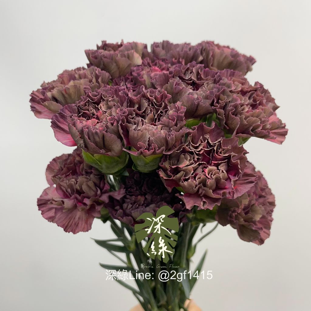 image_69761E9B-69C5-4D3A-9F23-1F0ED09A4E5D_1775013007