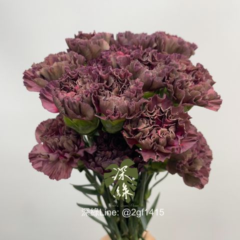 image_69761E9B-69C5-4D3A-9F23-1F0ED09A4E5D_1775013007