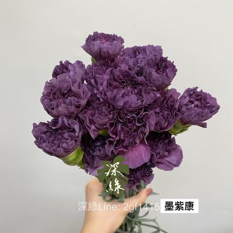 image_3CC59680-FD24-41B5-9802-E25879D6CEE1_1775013375