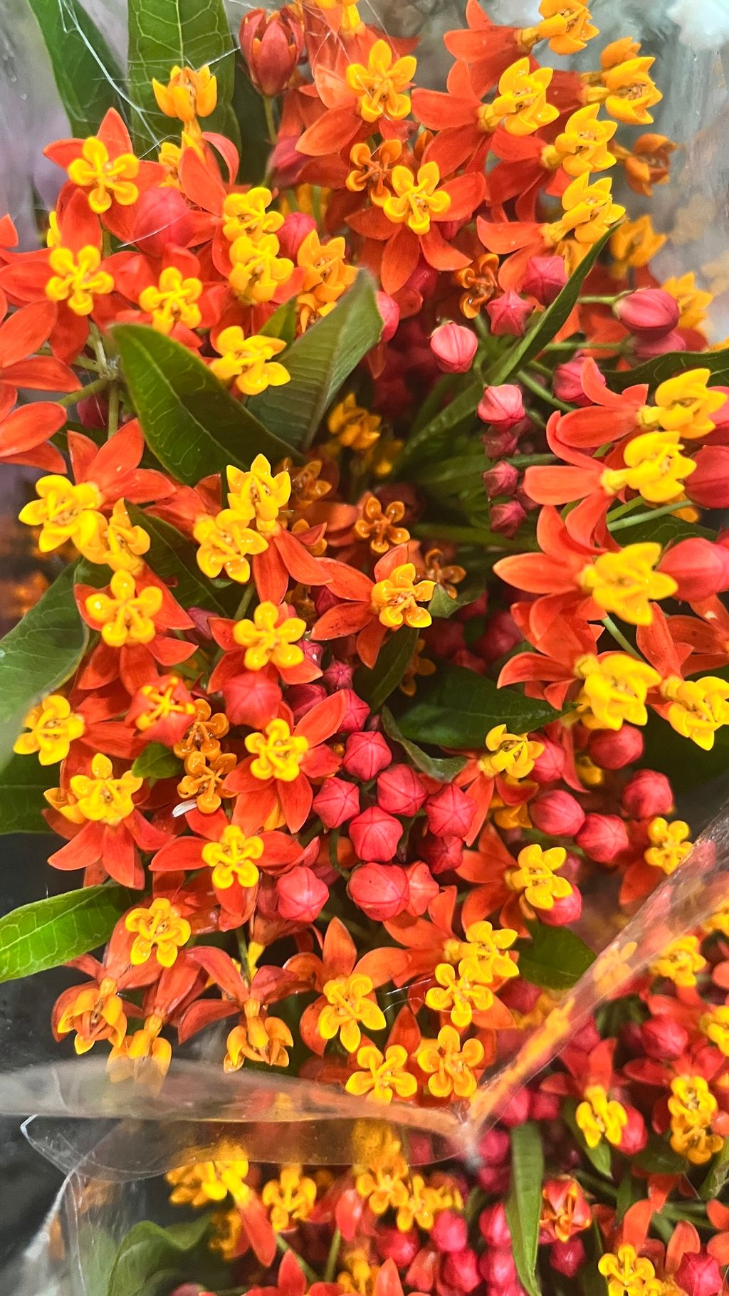 image_5948C132-EA86-438E-AE67-BCEAFE77789B_1775025586