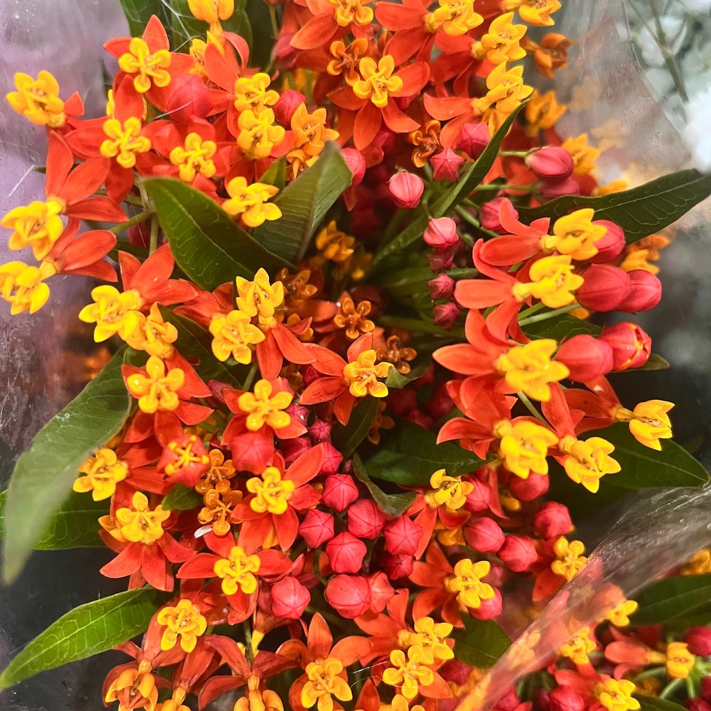 image_B14A87BF-31E1-4CF8-91F7-B00891831FE0_1775025586