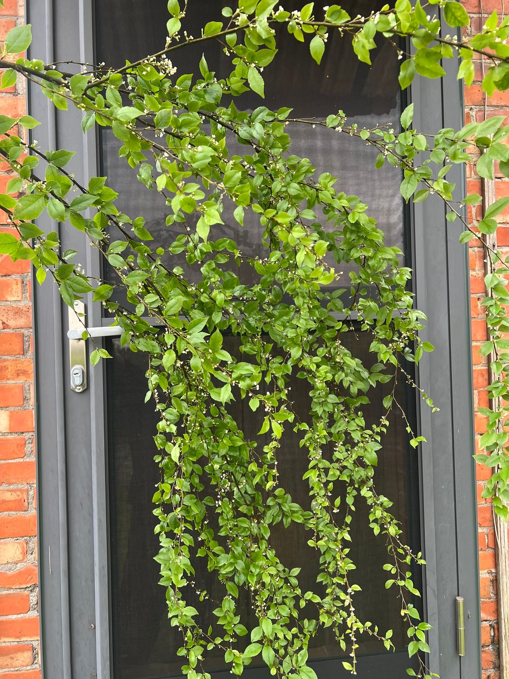 image_3D9479E2-27B3-4C7C-A94D-E64825128A5F_1775027570