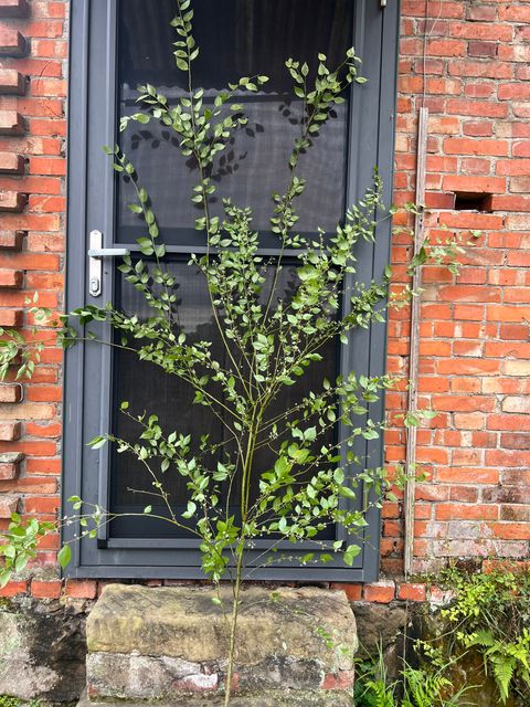 image_F6D6850F-1F78-498F-A0E1-A265F6A80674_1775027570