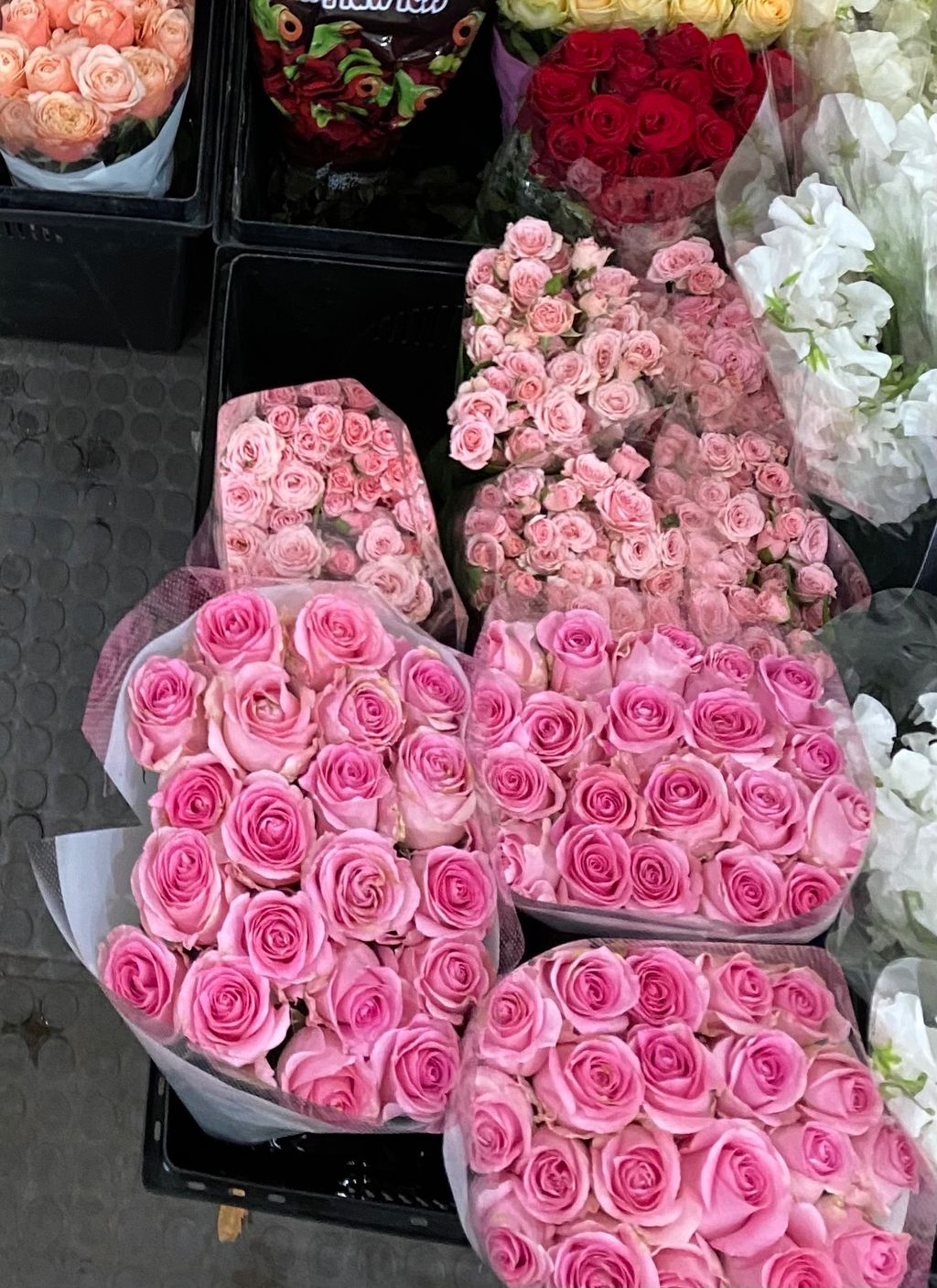 E4F5874B-5B03-4F24-9330-74FCDA0067B9