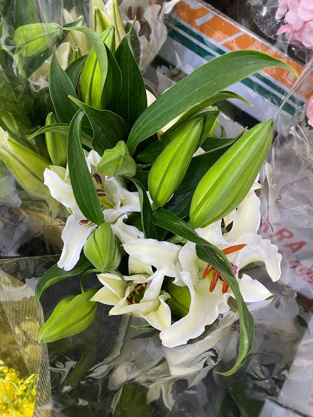 8537A809-A59B-4F78-9C5C-A598BF3257EC