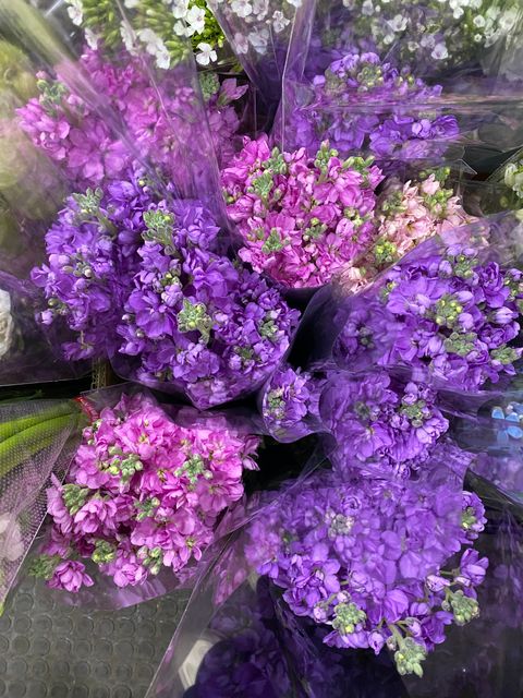 D6F923EA-50CB-41B8-AA4E-78E9BBEC2967